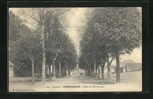 AK Pompadour, Allée des Marronniers
