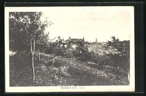 AK Kostelec n. C., Celkový pohled