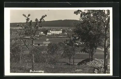 AK Bukovany, Celkovy Pohled