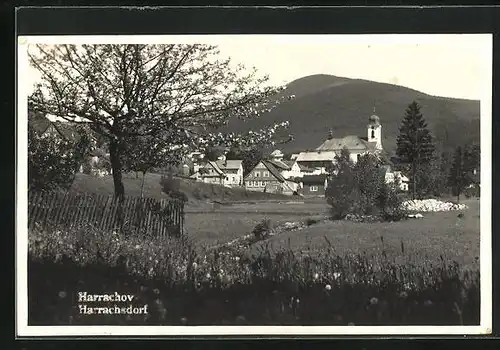 AK Harrachov / Harrachsdorf, Ortsansicht im Frühling