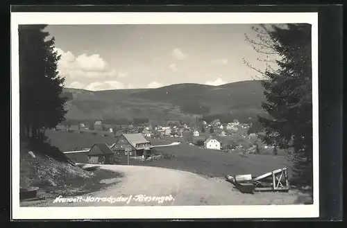 AK Neuwelt-Harrachsdorf, Panorama