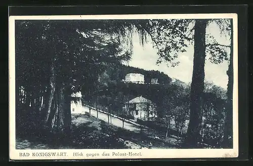 AK Bad Königswart, Blick gegen das Palast-Hotel