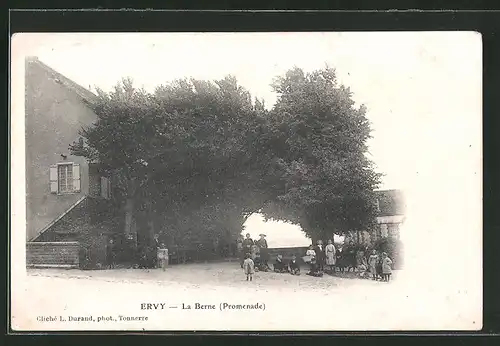 AK Ervy, La Berne