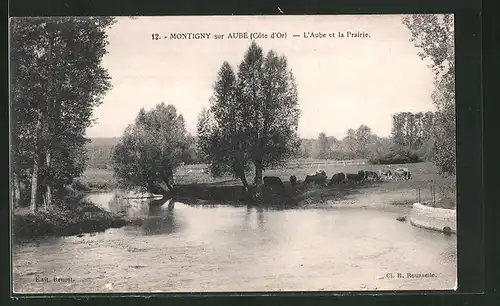 AK Montigny-sur-Aube, L`Aube et la Prairie