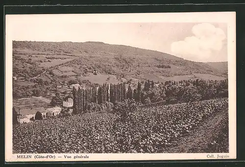 AK Melin, Vue Générale