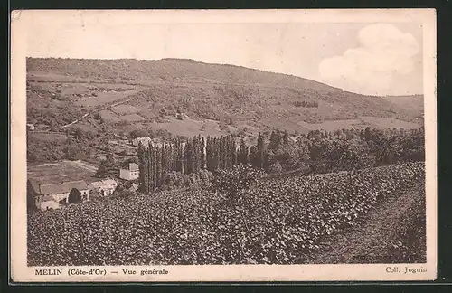 AK Melin, Vue générale