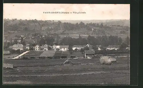 AK Passy-Grigny, Vue générale