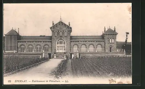 AK Épernay, Établissement de Viticulture
