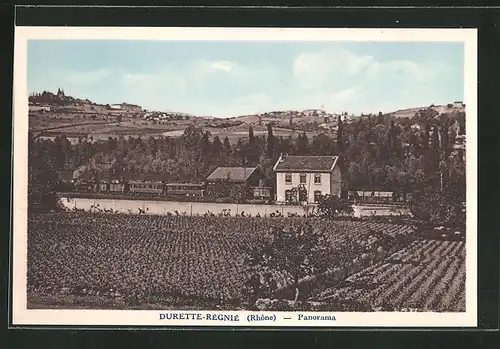 AK Durette-Régnié, Panorama