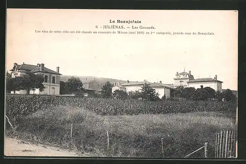 AK Julienas, Les Gonards, Le Beaujolais