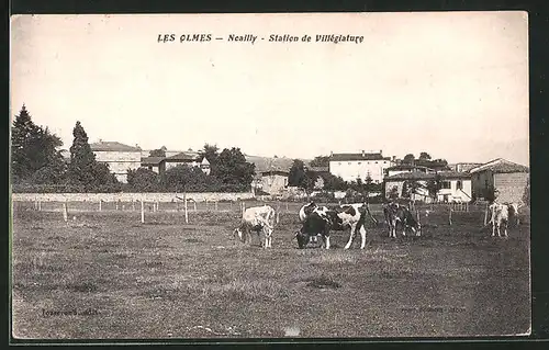 AK Les Olmes, Noailly - Station de Villègiature