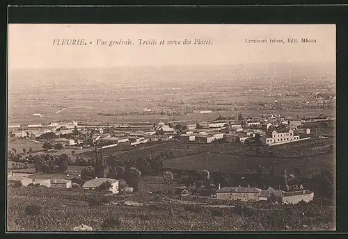 AK Fleurie, Vue gènèrale, Treille et serve des Places