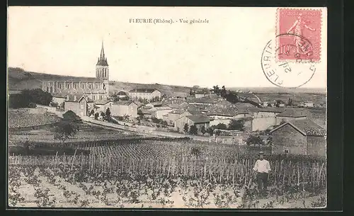 AK Fleurie, Vue générale