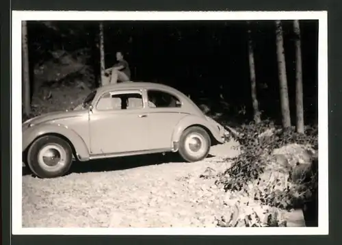 Fotografie Auto VW Käfer, Volkswage PKW am Waldrand