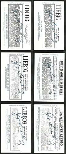 6 Sammelbilder Liebig, Serie Nr.: 1170, Hotel, Louvain, Oudenaarde, Antwerpen, Ypern, Brügge, Brüssel