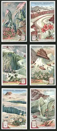 6 Sammelbilder Liebig, Serie Nr.: 1193, Formations de Glacier, Gletscher, Schnee, Bergsteiger, Blume