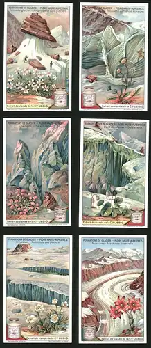 6 Sammelbilder Liebig, Serie Nr.: 1193, Formations de Glacier, Schnee, Gletscher, Bergsteiger, Blume, Gletscherspalte