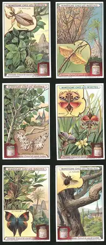 6 Sammelbilder Liebig, Serie Nr.: 1065, Mimetisme chez les Insectes, Gottesanbeterin, Raupe, Käfer, Schmetterling