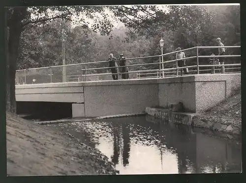 Fotografie Ansicht Hütteldorf, Wildbachverbauung mit Brücke über den Halterbach