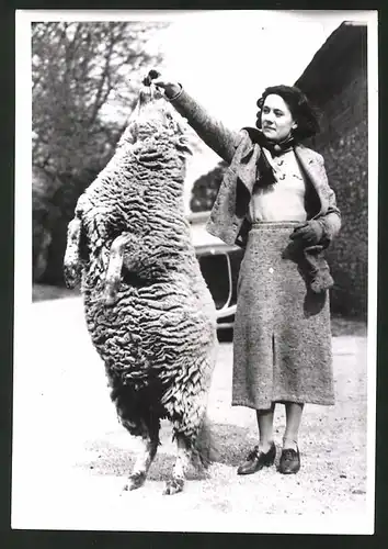 Fotografie Junge Frau mit dressiertem Schaf