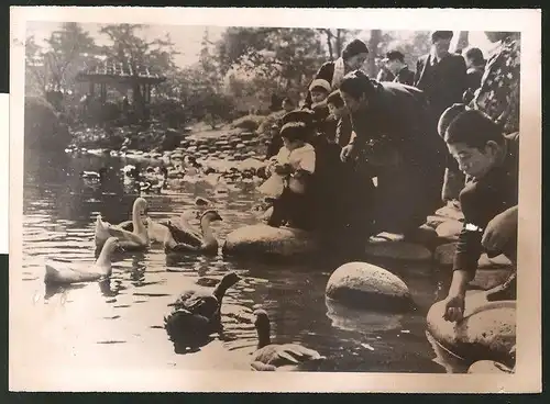 Fotografie Ansicht Tokio, Familien füttern Gänse