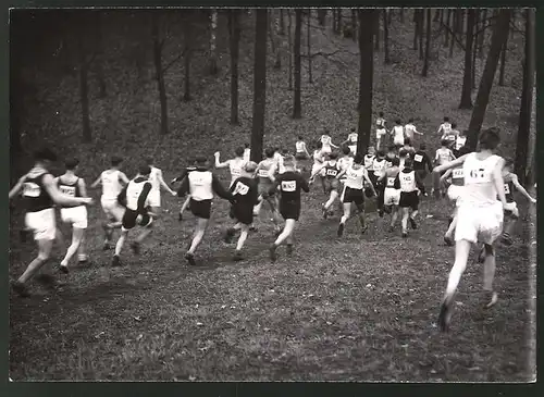 Fotografie Ansicht Berlin- Waldlauf im Grunewald