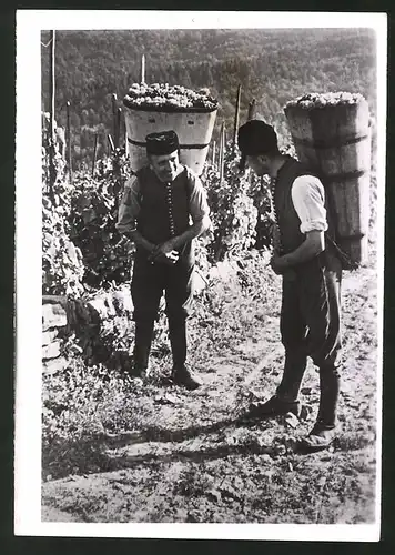 Fotografie Schwäbische Weinleser in Tracht