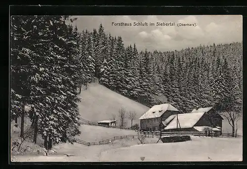 AK St. Andreasberg / Harz, Gasthaus Forsthaus Schluft im Winter