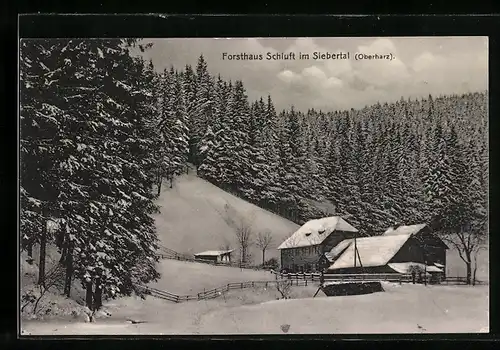 AK St. Andreasberg / Harz, Gasthaus Forsthaus Schluft im Winter