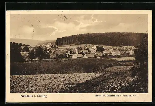 AK Neuhaus i. Solling, Ortsansicht mit Feld und Wald