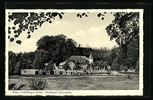 AK Iburg /Teutoburger Wald, Waldhotel Felsenkeller