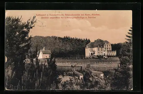 AK Hann Münden, Blick auf Hotel Rehbocksweide