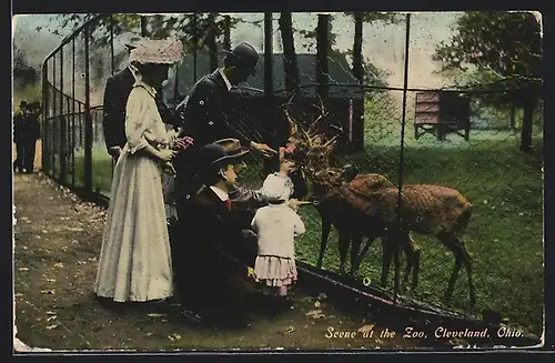 AK Cleveland, Ohio, Scene at the Zoo