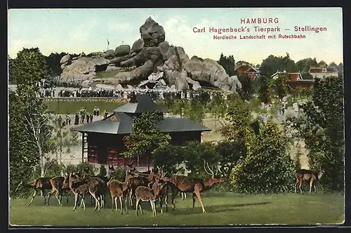 AK Hamburg-Stellingen, Carl Hagenbeck`s Tierpark, Nordische Landschaft mit Rutschbahn