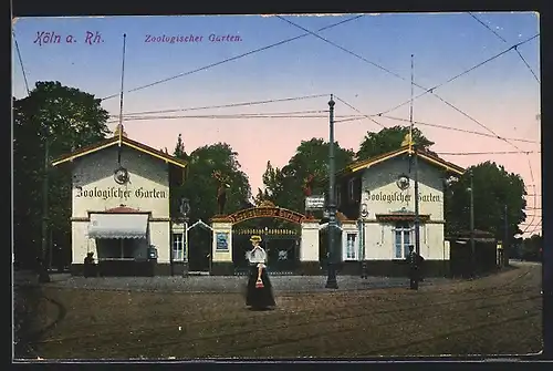 AK Köln a. Rh., Zoologischer Garten, Eingang