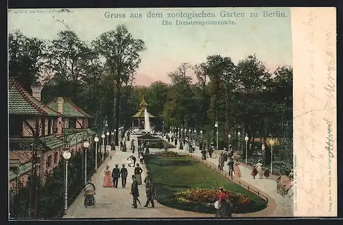 AK Berlin, Dreisternpromenade im Zoologischen Garten aus der Vogelschau