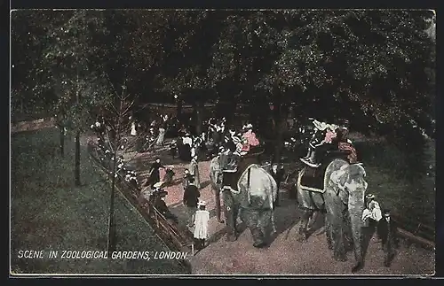 AK London, Scene in Zoological Gardens