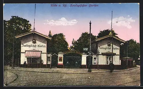 AK Köln a. Rh., Eingang zum Zoologischen Garten