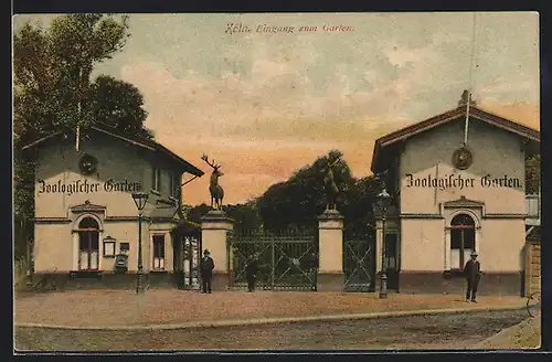 AK Köln, Eingang zum Zoologischen Garten