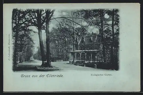 Mondschein-AK Eilenriede, Zoologischer Garten, Strassenpartie mit Bäumen