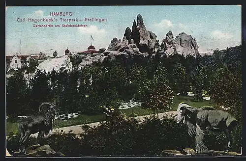 AK Hamburg-Stellingen, Carl Hagenbeck`s Tierpark, Gartenpartie am Steinbockfelsen