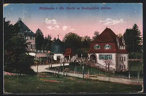 AK Mülhausen i. Els., Partie im Zoologischen Garten