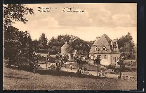 AK Mülhausen i. E., Im Tierpark