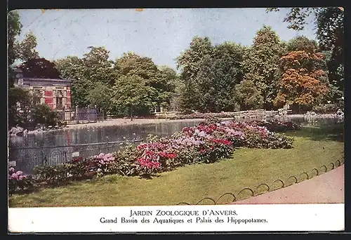 AK Bassin & Nilpferdhaus im Zoologischen Garten von Anvers