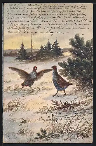 Künstler-AK Fr. Rösler: Vögel im Schnee