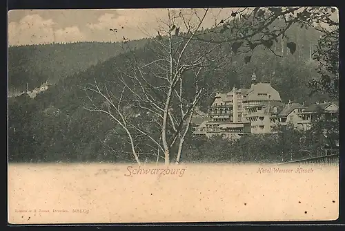 AK Schwarzburg, Hotel Weisser Hirsch