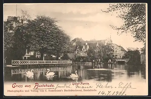 AK Buxtehude, Viver-Partie