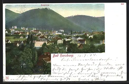 AK Bad Harzburg, Ortsansicht mit Burgberg