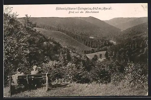 AK Hohegeiss /Harz, Blick von der Mönchsbank