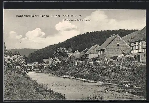 AK Tanne i. Harz, Flusspartie im Schenktal mit Wohnhäusern